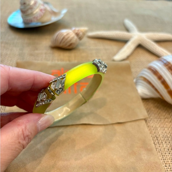 Alexis Bittar lucite hinged bracelet - Picture 4 of 5